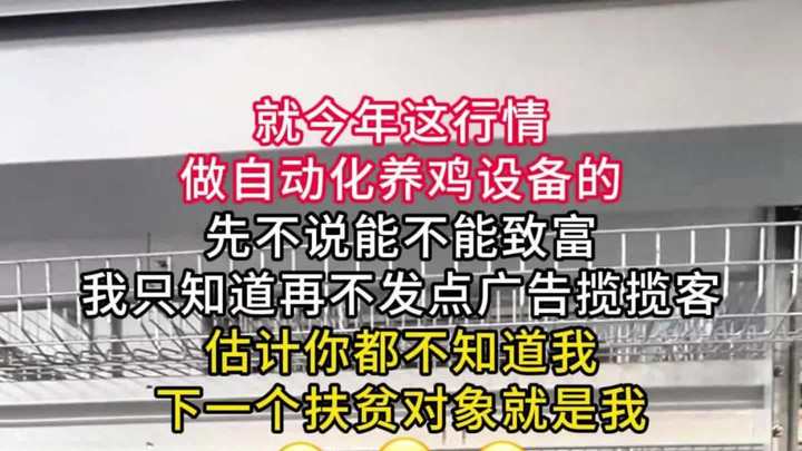 全自动化养鸡设备