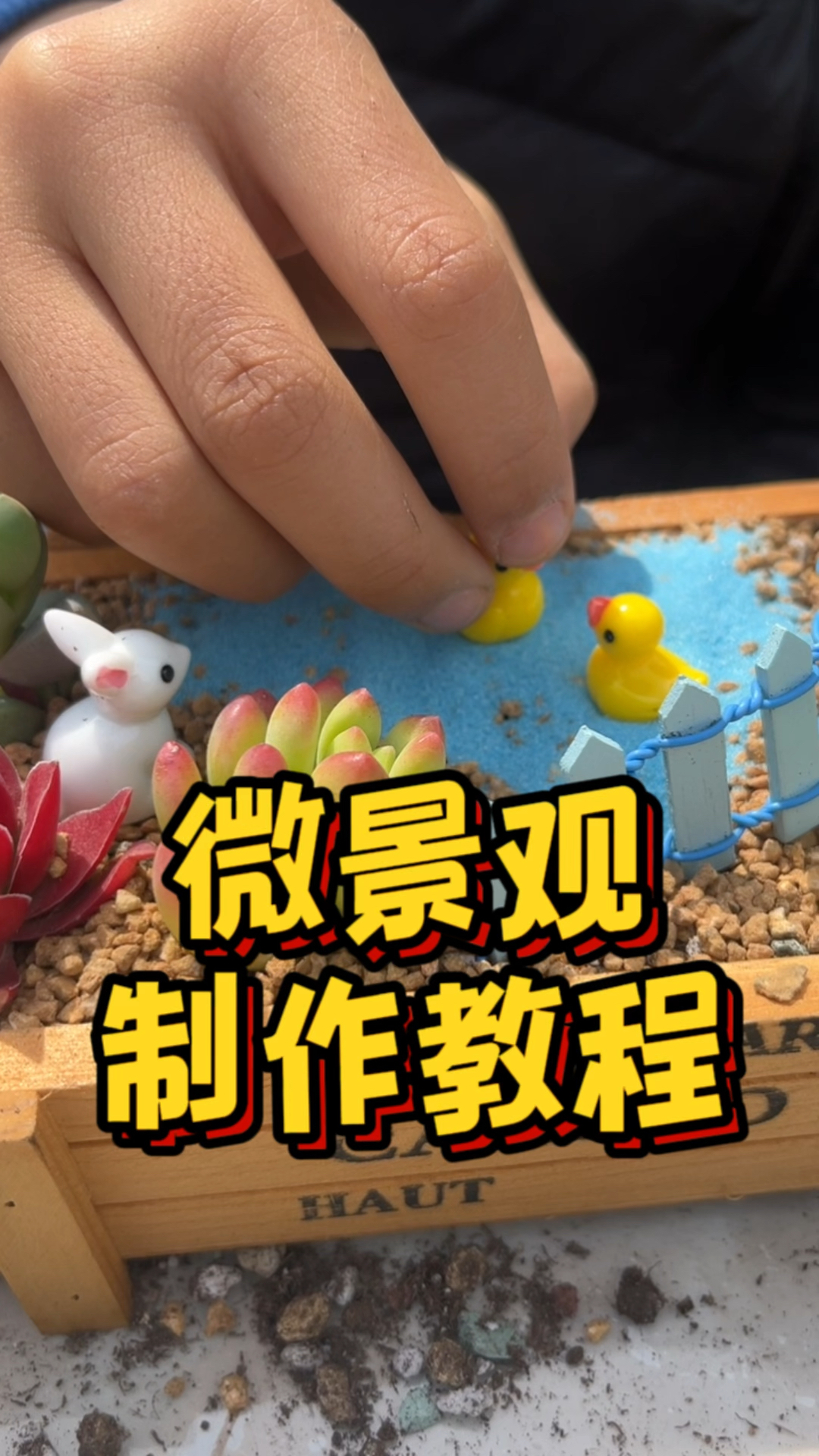 亲子DIY种植体验,【木盒多肉微景观套餐】的制作教程