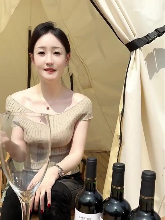 法国原瓶进口红酒,高度干红葡萄酒,自饮礼赠宴请用酒