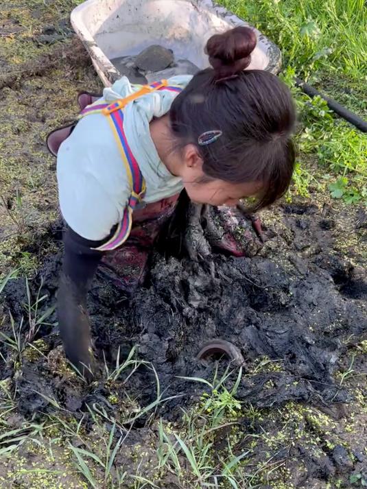 帮粉丝包下一口放干水的鱼塘,里面究竟有多少甲鱼?能出多少大货