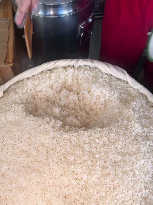 温州特色糯米饭！搭配一碗咸蛋浆也太舒服了！