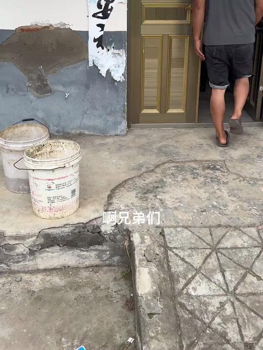教兄弟们认识野生甲鱼,与与养殖的区别