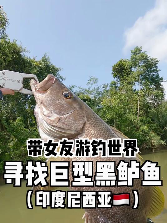 据说,这是世界上最凶猛的淡水鱼