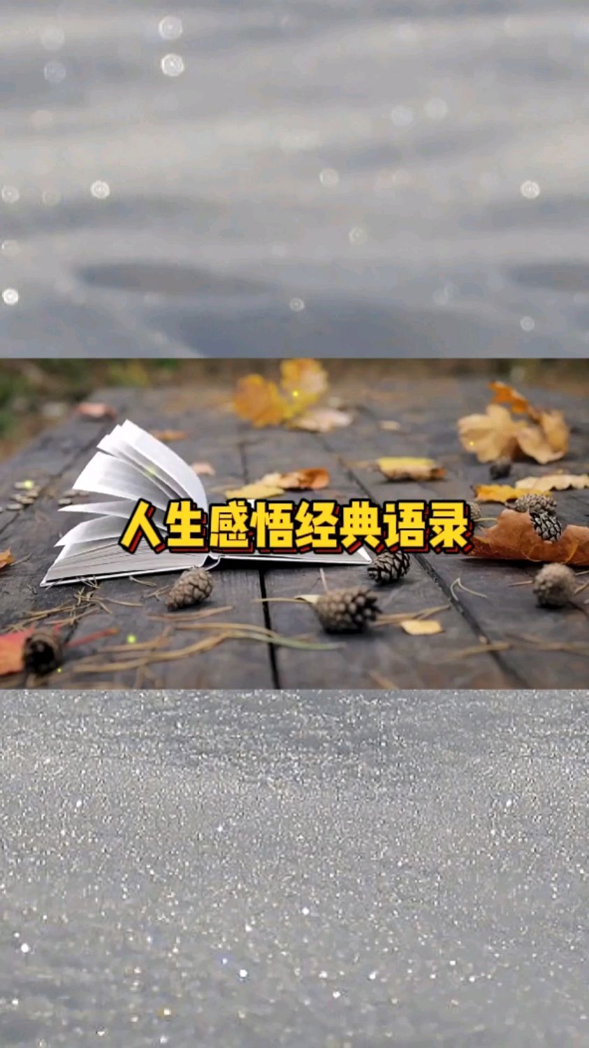 人生感悟经典语录