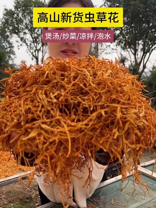 用这虫草花,轻松炖出美味营养鸡汤