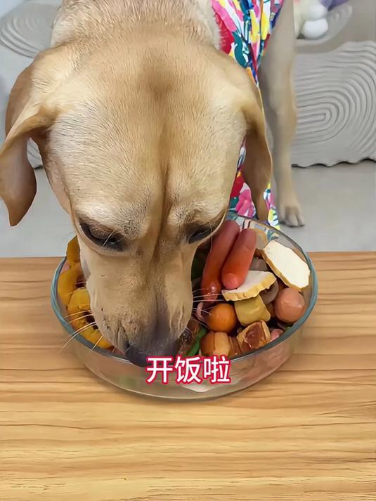 今天吃三鲜水饺