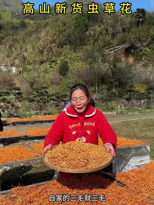 不知道煲啥汤?用虫草花炖鸡汤超对味