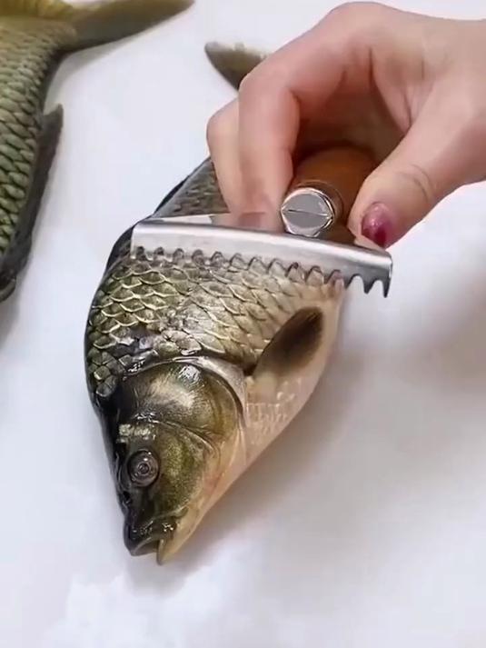 厨房杀鱼神器！鱼鳞刮去鳞快不伤肉，不锈钢材质，家家必备工具！#刮鱼鳞##鱼刮鳞神器##鱼鳞