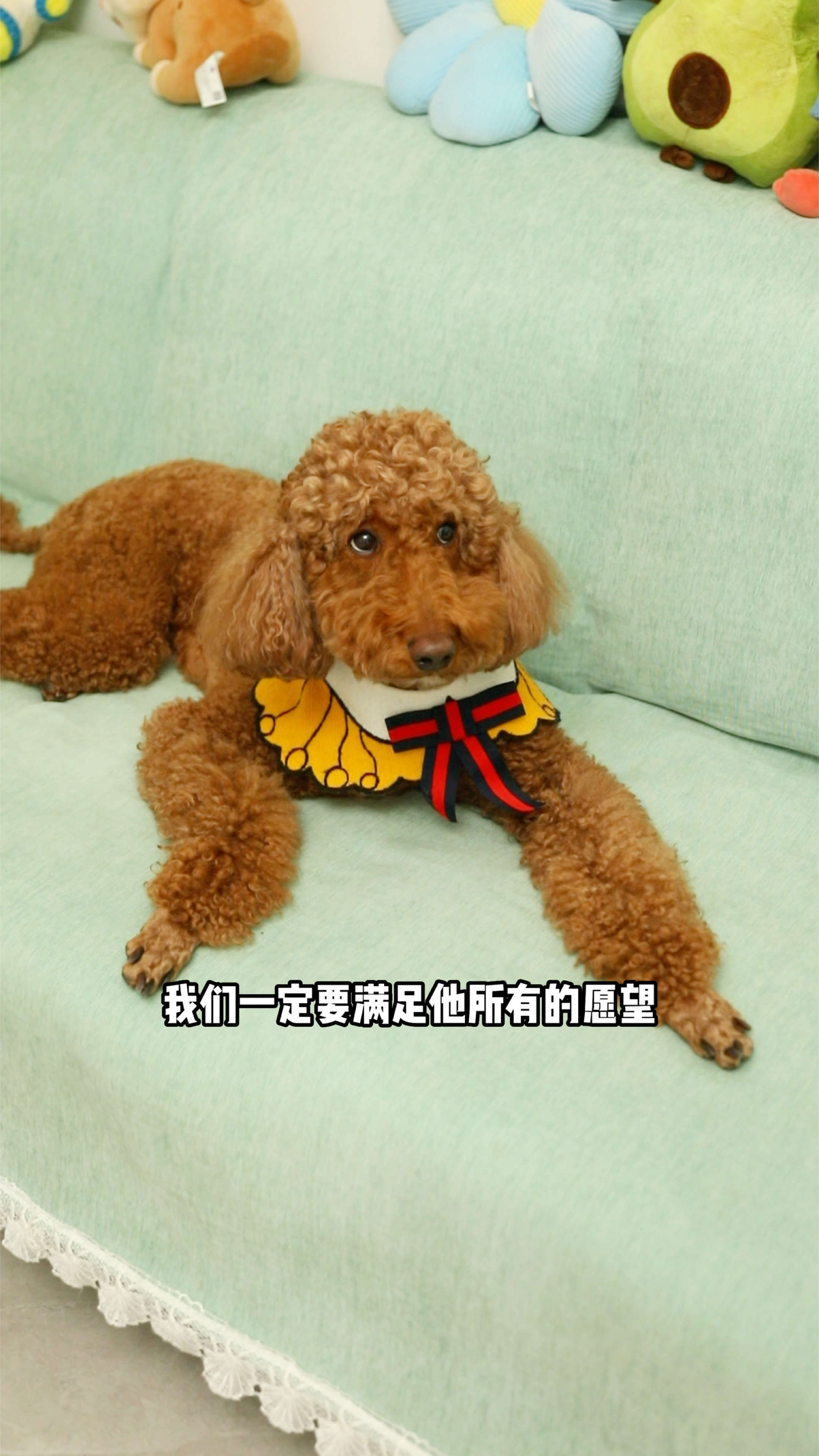 coco只是不想让奶茶离开