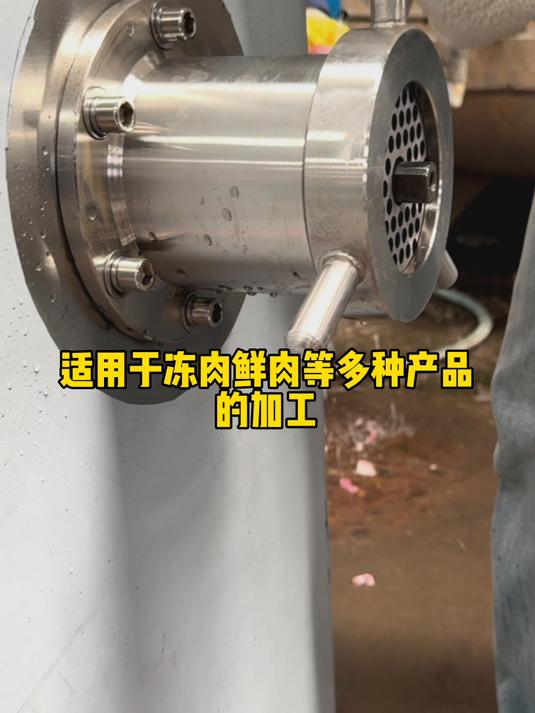 带骨肉冻肉绞肉机牛肉馅肉粒绞碎机虾滑鱼肉绞泥机香肠馅料绞切机