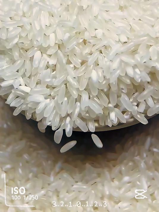 老人都夸的好米!五常大米熬粥,米油厚到挂壁