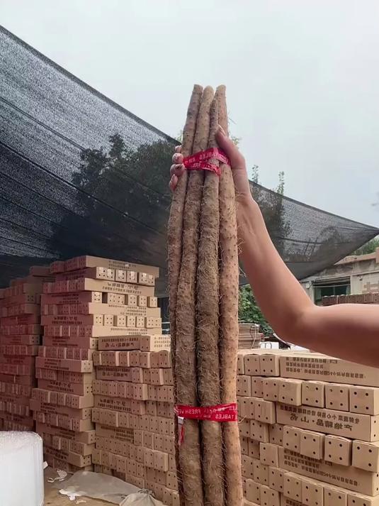 铁棍山药口感粉润,自然晾晒留营养,煲粥炖蛋老少皆宜