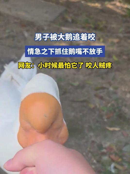 男子被大鹅追着咬,情急之下抓住鹅嘴不放手