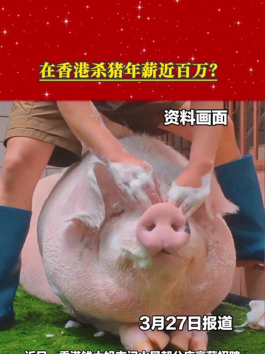 在香港杀猪年薪近百万?全职猪肉分割师月薪4万至8万