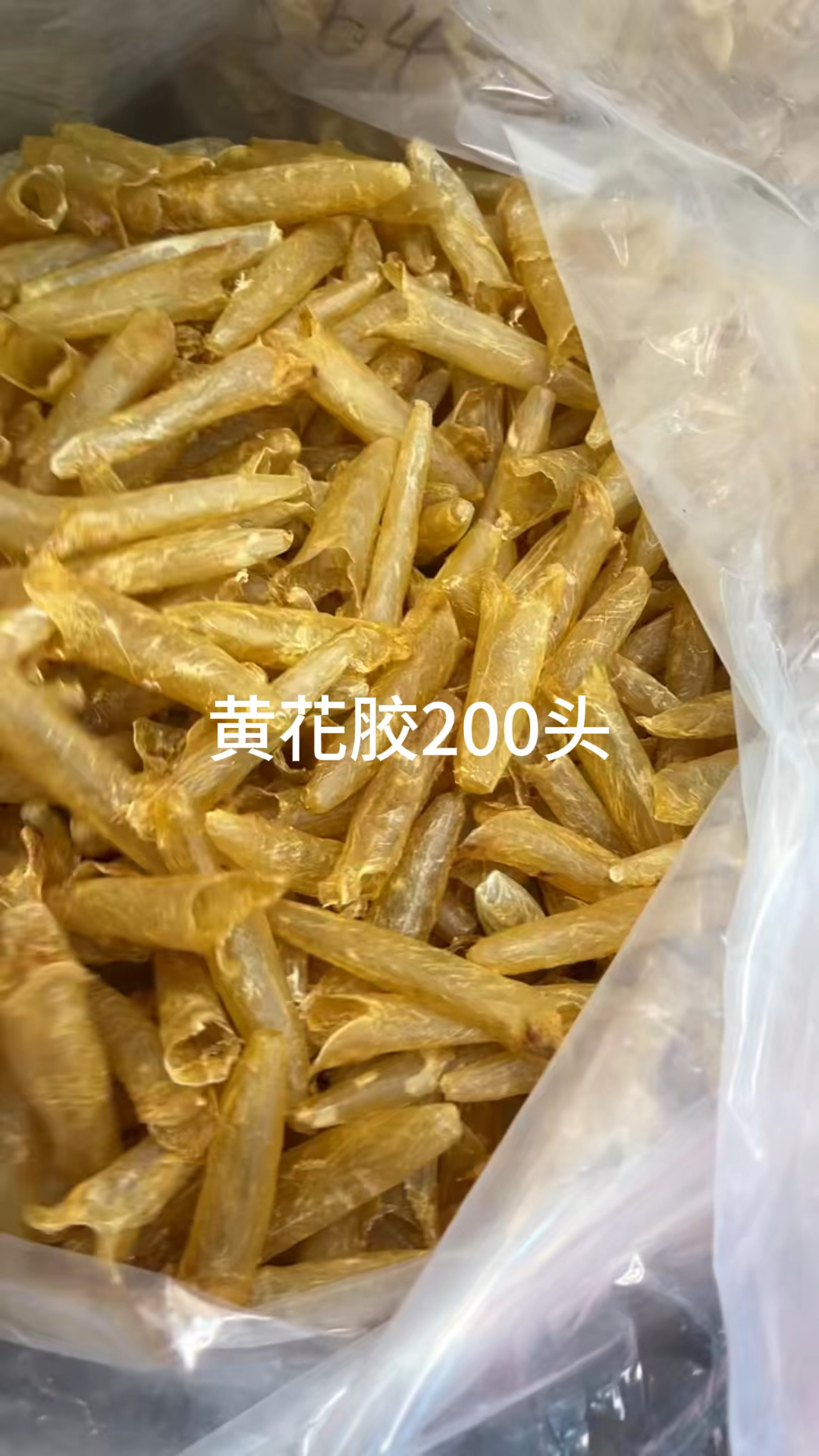 黄花胶,顺风斗湖,马友胶筒,筒子,佐罗筒,清水鳝鱼胶