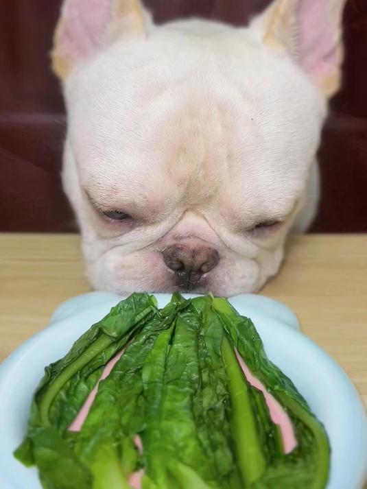 特别爱吃青菜的小宝