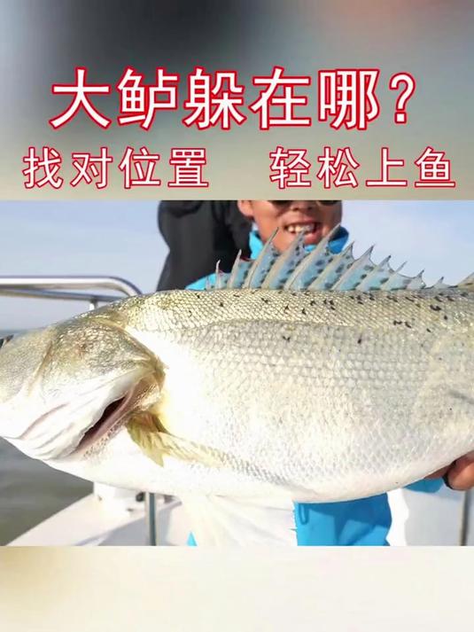 钓海鲈的标点在哪,你知道几个?