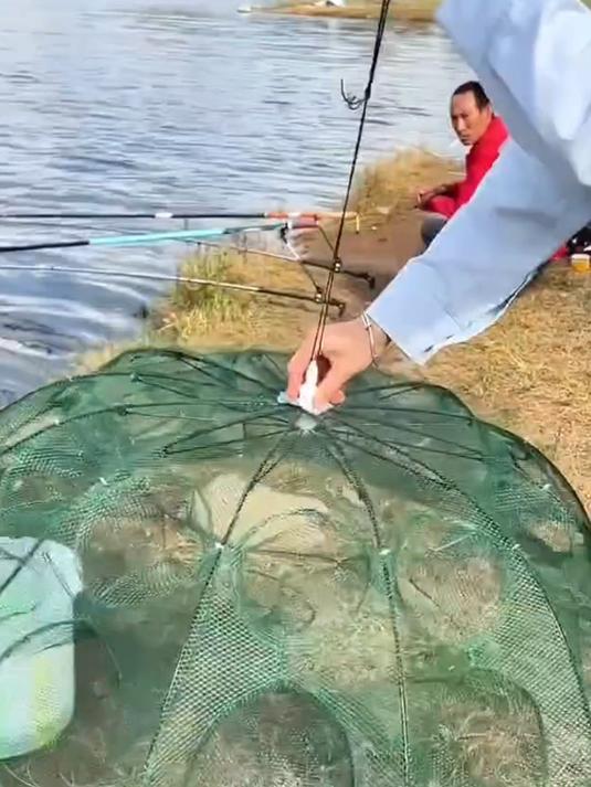 爱吃鱼的注意!'伞形鱼笼'往水里一扔,鱼虾自动钻!坐等收网!