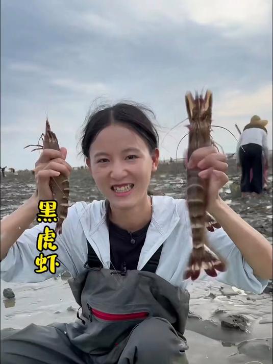 台风来临前的天气燥热 海底缺氧 深海的鱼虾都洄游到岸边了