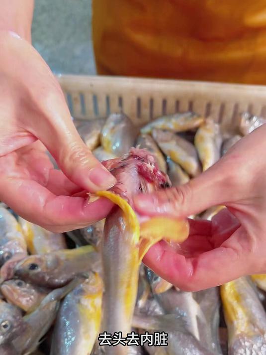 担心鱼刺卡喉不安全?黄花鱼罐头骨酥肉烂入口即化,补钙护心脑