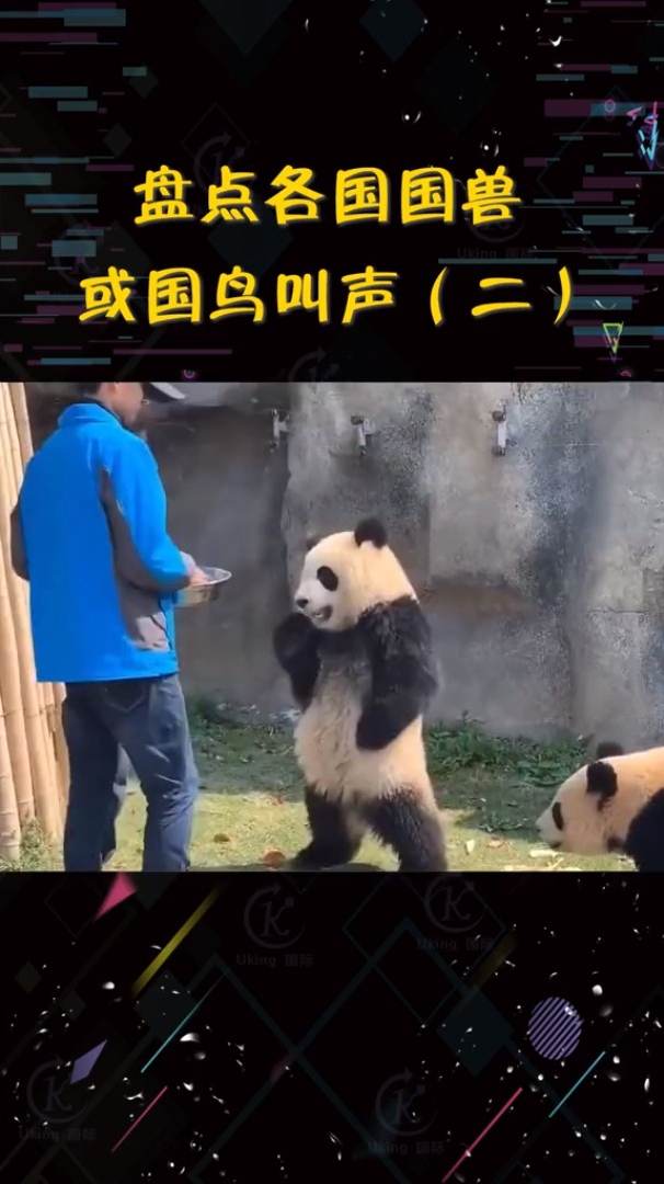 盘点各国国兽和国鸟叫声,太出乎意料了