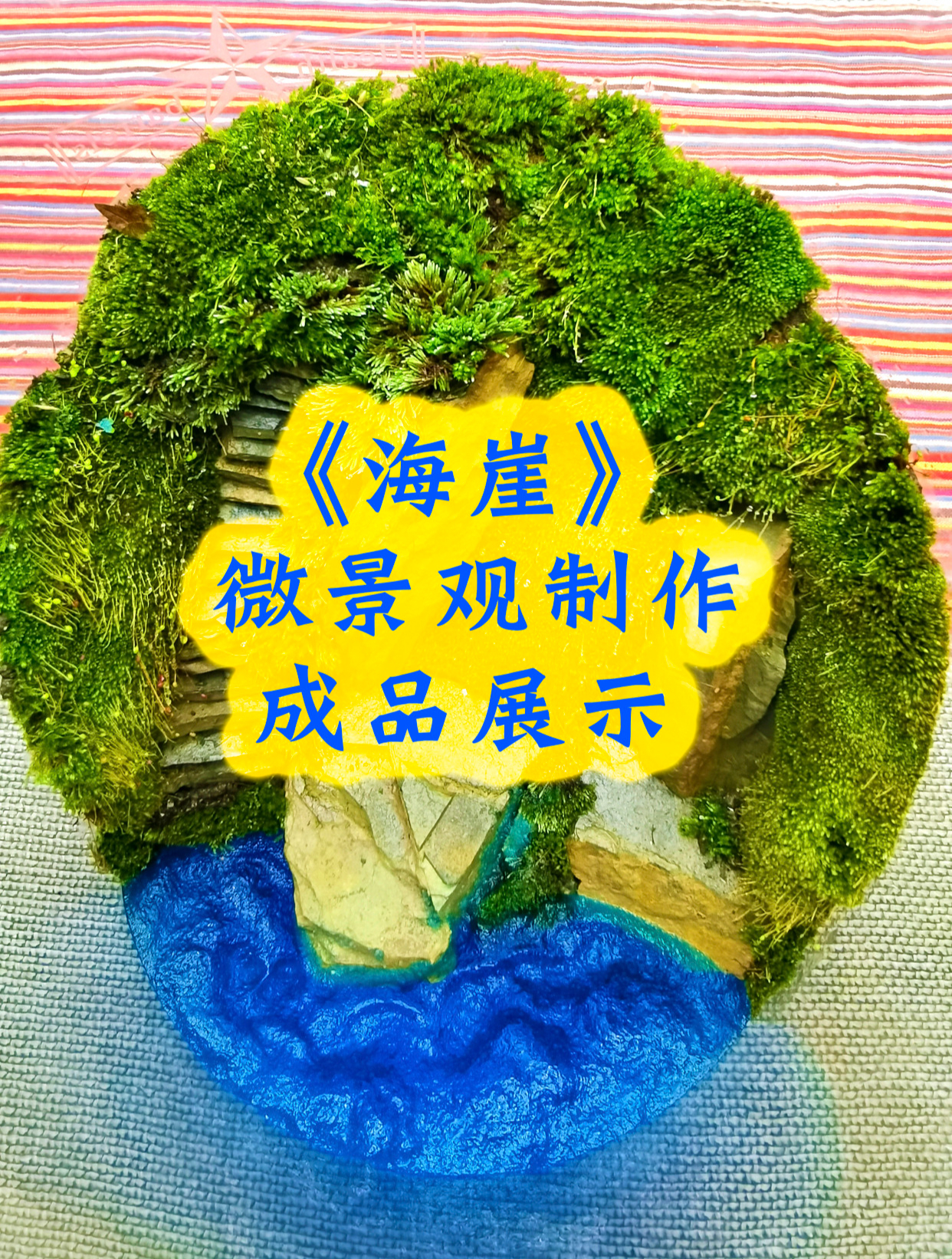 带海的微景观作品欣赏《海崖》