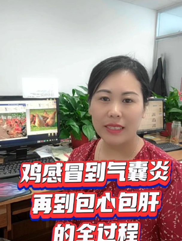 感冒到包心包肝过程