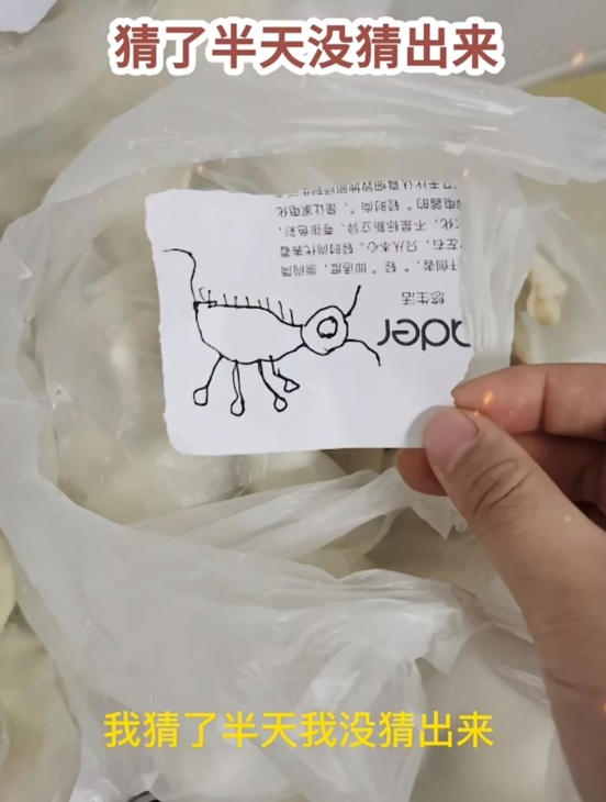 奶奶给孙子包饺子用画区分,猜了半天一个没猜出来