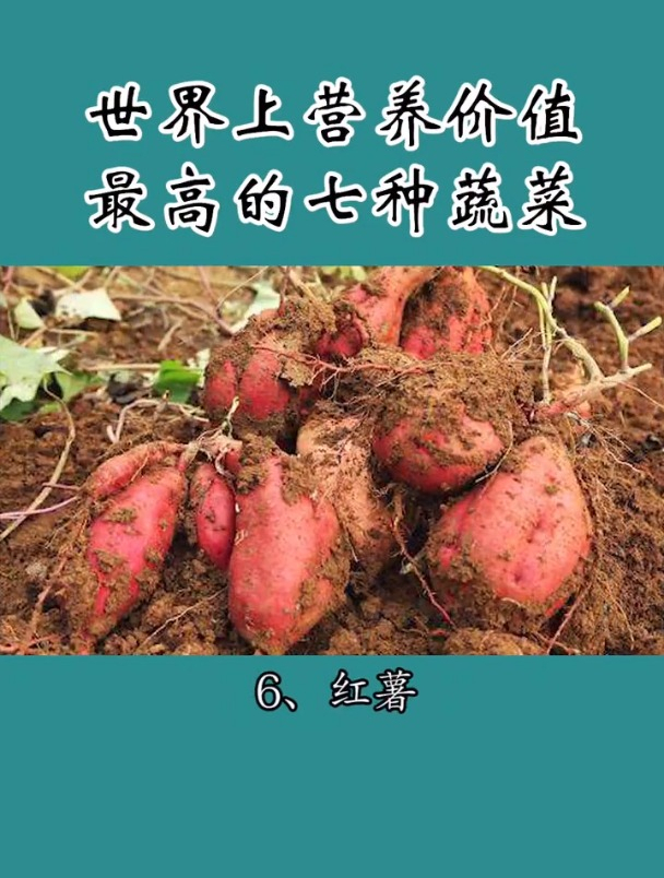 世界上营养价值最高的7种蔬菜,你知道都有哪些吗?