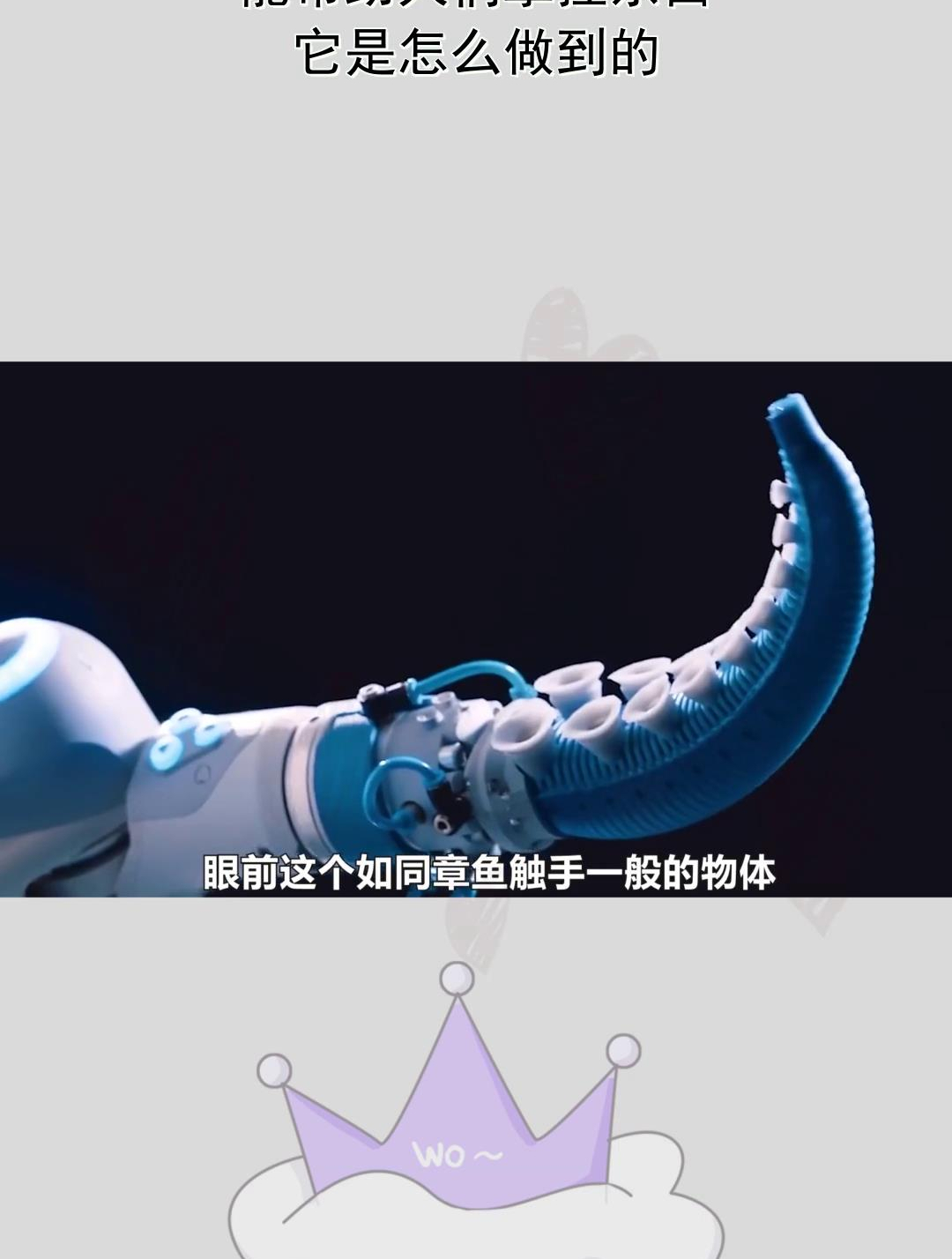 神奇的章鱼仿生手套,能帮助人们拿捏东西,它是怎么做到的?