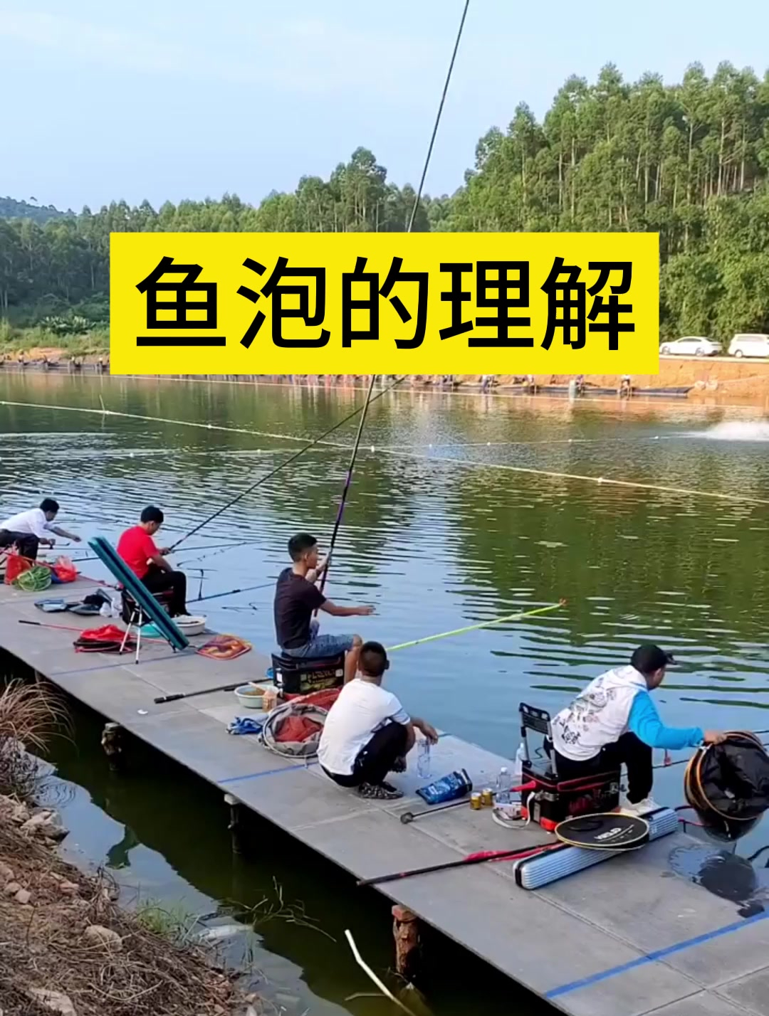 不同的鱼泡代表什么?看看你对鱼泡的理解对吗!