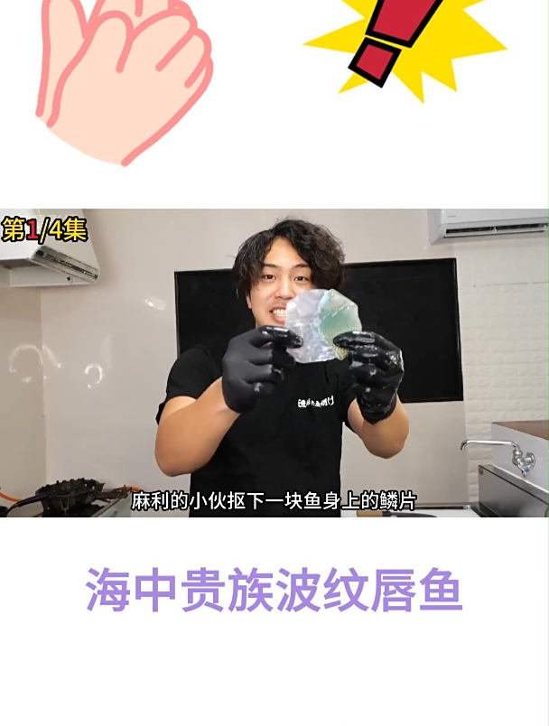 海中贵族波纹唇鱼1