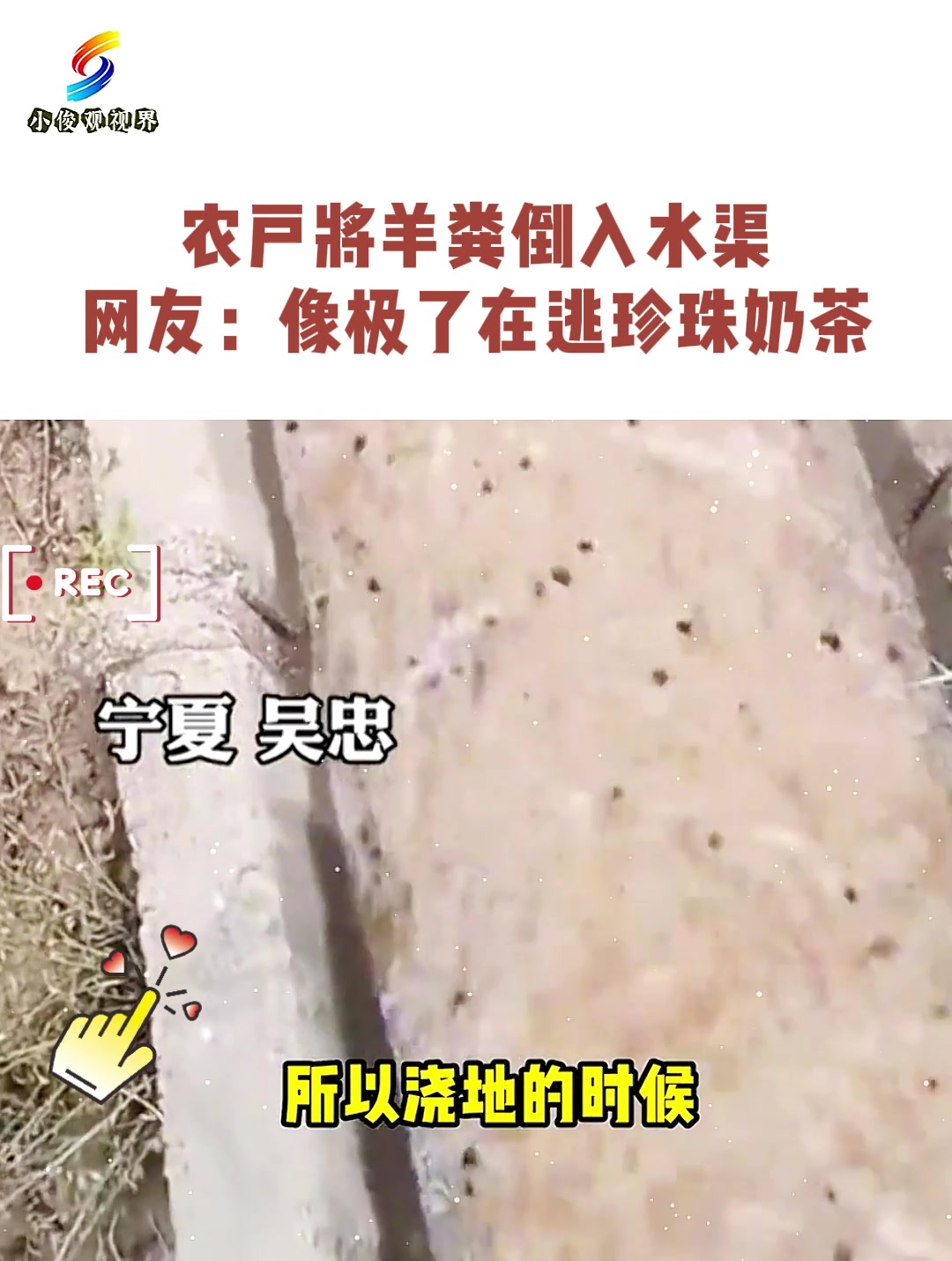 农户将羊粪倒入水渠,网友:像极了在逃珍珠奶茶