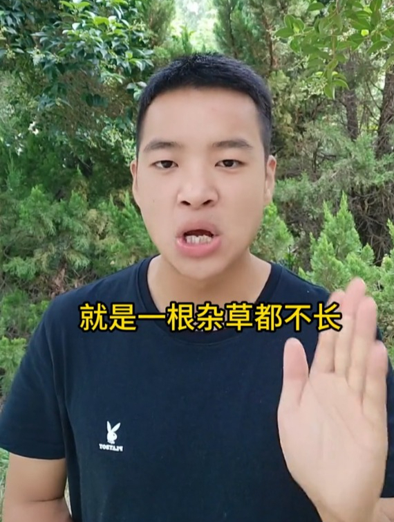 蔬菜专用除草剂,安全除草不伤苗,这样使用,打一次管一季