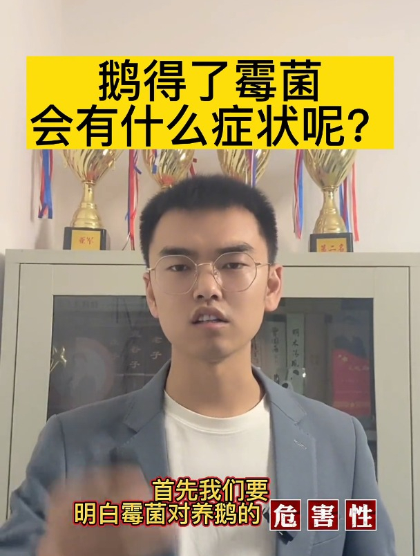 鹅得了霉菌会有什么症状呢?养鹅技术分享