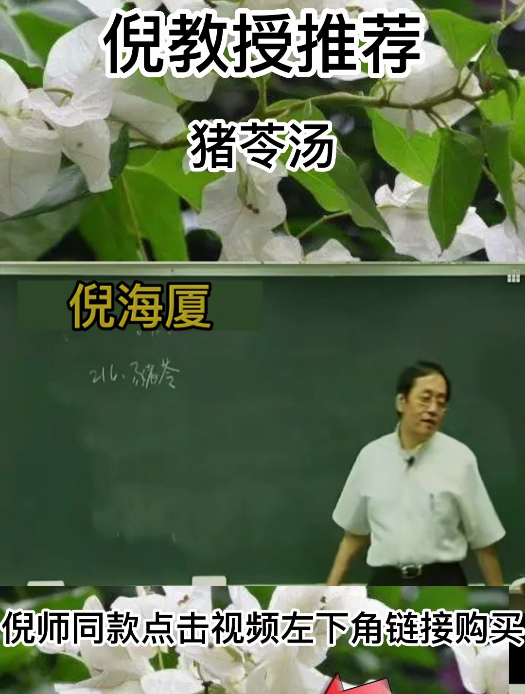 倪老;猪苓汤具有利水,养阴,清热之功效