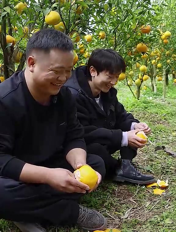 弟弟馋了要吃橘子罐头,这样做真好吃