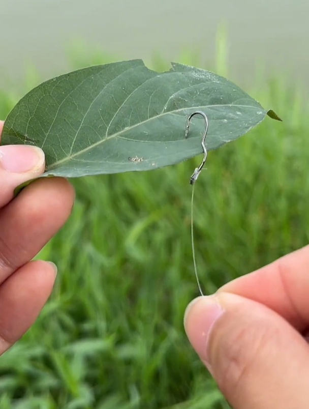 真有吃进去就吐不出来的鱼钩?老钓手实测,果然名不虚传!
