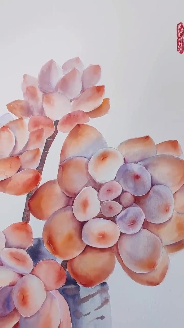 水彩,在家画一盆多肉吧