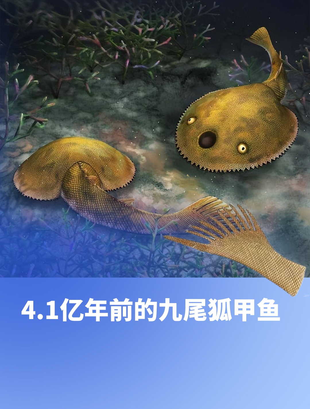 4.1亿年前的九尾狐甲鱼