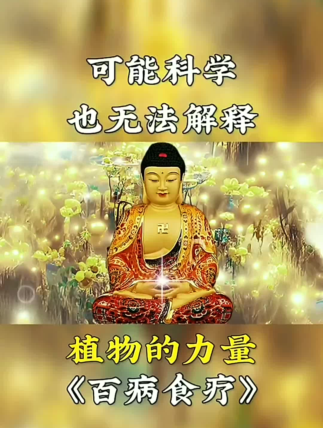 天热食物的力量才是好“补品”人参鲍鱼都不换