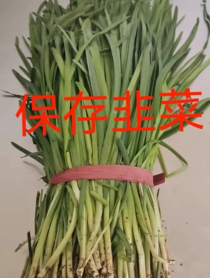 保存韭菜的好方法,一个月都不坏,特别新鲜