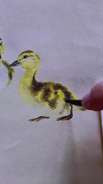 用小写意简简单单画一对小鸭子
