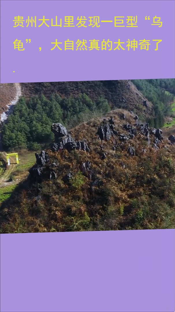 贵州大山里发现一巨型“乌龟”,大自然真的太神奇了