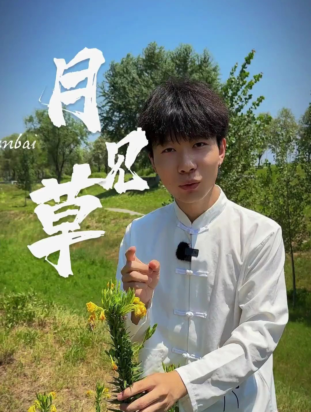 据说这种植物只有在晚上月亮升起的时候才会开花