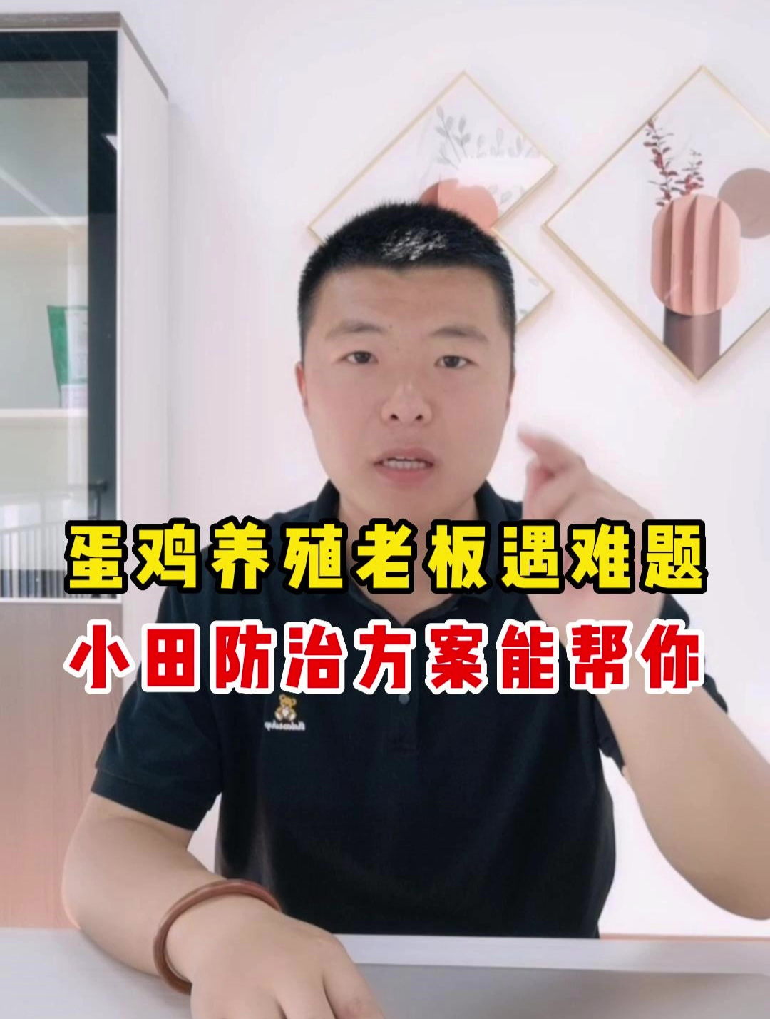 蛋鸡养殖老板遇难题,小田防治方案能帮你!
