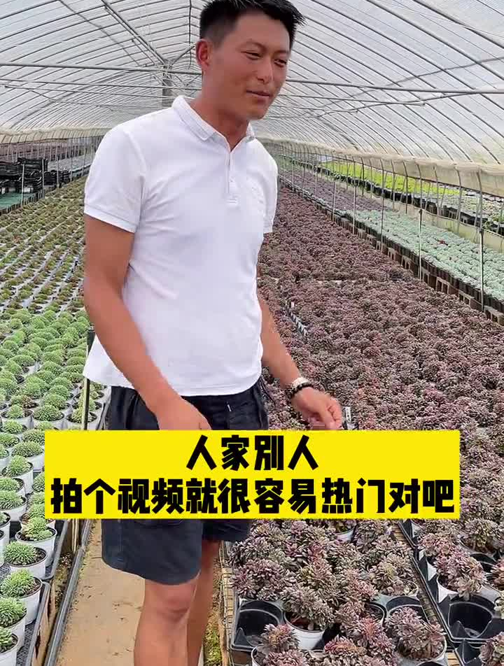 大红袍多肉,大家喜欢不