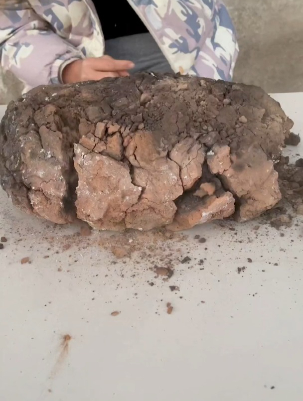 自制黄泥叫花鸡,虽然时间很长但很好吃,老妈妈夸赞不停