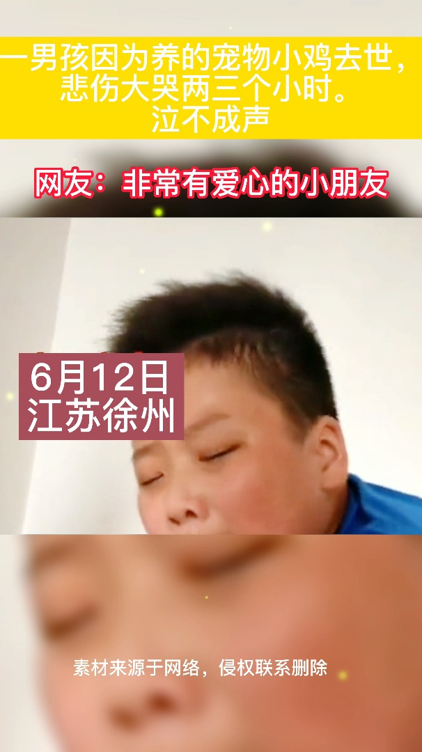 6月12日江苏徐州,男孩因为养的宠物小鸡去世悲伤大哭两三个小时