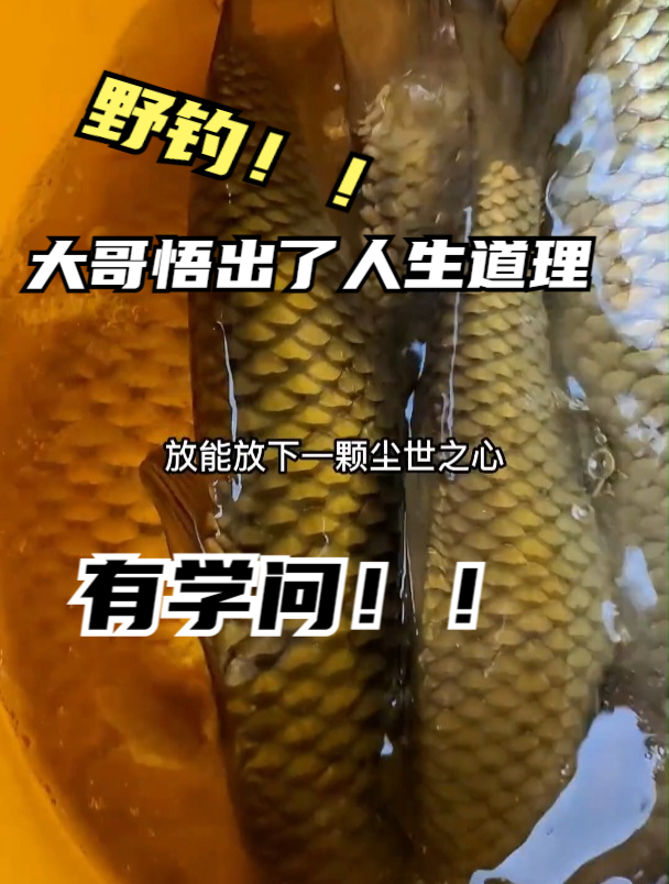 野钓:小伙野钓清波鱼,居然还悟出来人生的哲理!